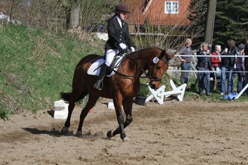 Bild 361 - WBO-Turnier am 9.4.11